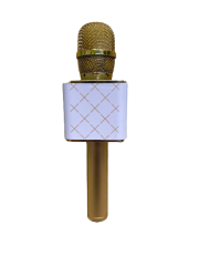 Adm Karaoke Mikrofon Bluetooth Hoparlör Adm  Mikrofon