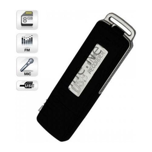SES KAYIT CİHAZI USB FLASH BELLEK 8GB USB KAYDEDİCİ DİJİTAL MİNİ SES KAYDEDİCİ PROFESYONEL SES KAYIT