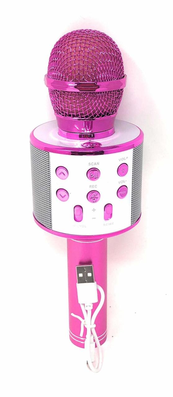 WSTER WS-858 KARAOKE MİKROFON BLUETOOTH HOPARLÖR AUX-USB MİKRO SD KART GİRİŞLİ PEMBE MİKROFON