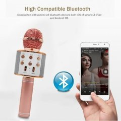 WSTER WS-858 KARAOKE HOPARLÖR BLUETOOTH/SD/AUX/USB/HFP SES DEĞİŞTİREN KARAOKE HOPARLÖER
