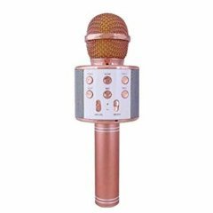WSTER WS-858 KARAOKE HOPARLÖR BLUETOOTH/SD/AUX/USB/HFP SES DEĞİŞTİREN KARAOKE HOPARLÖER