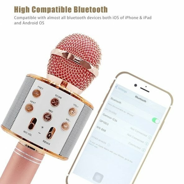 WSTER WS-858 KARAOKE HOPARLÖR BLUETOOTH/SD/AUX/USB/HFP SES DEĞİŞTİREN KARAOKE HOPARLÖER