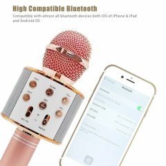 WSTER WS-858 KARAOKE HOPARLÖR BLUETOOTH/SD/AUX/USB/HFP SES DEĞİŞTİREN KARAOKE HOPARLÖER