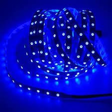 3528 Şerit Led 12V 10mm 6A 72W IP20 Korumalı Tek Çipli İç Mekan Silikonsuz Mavi 5 Metre Şerit Led